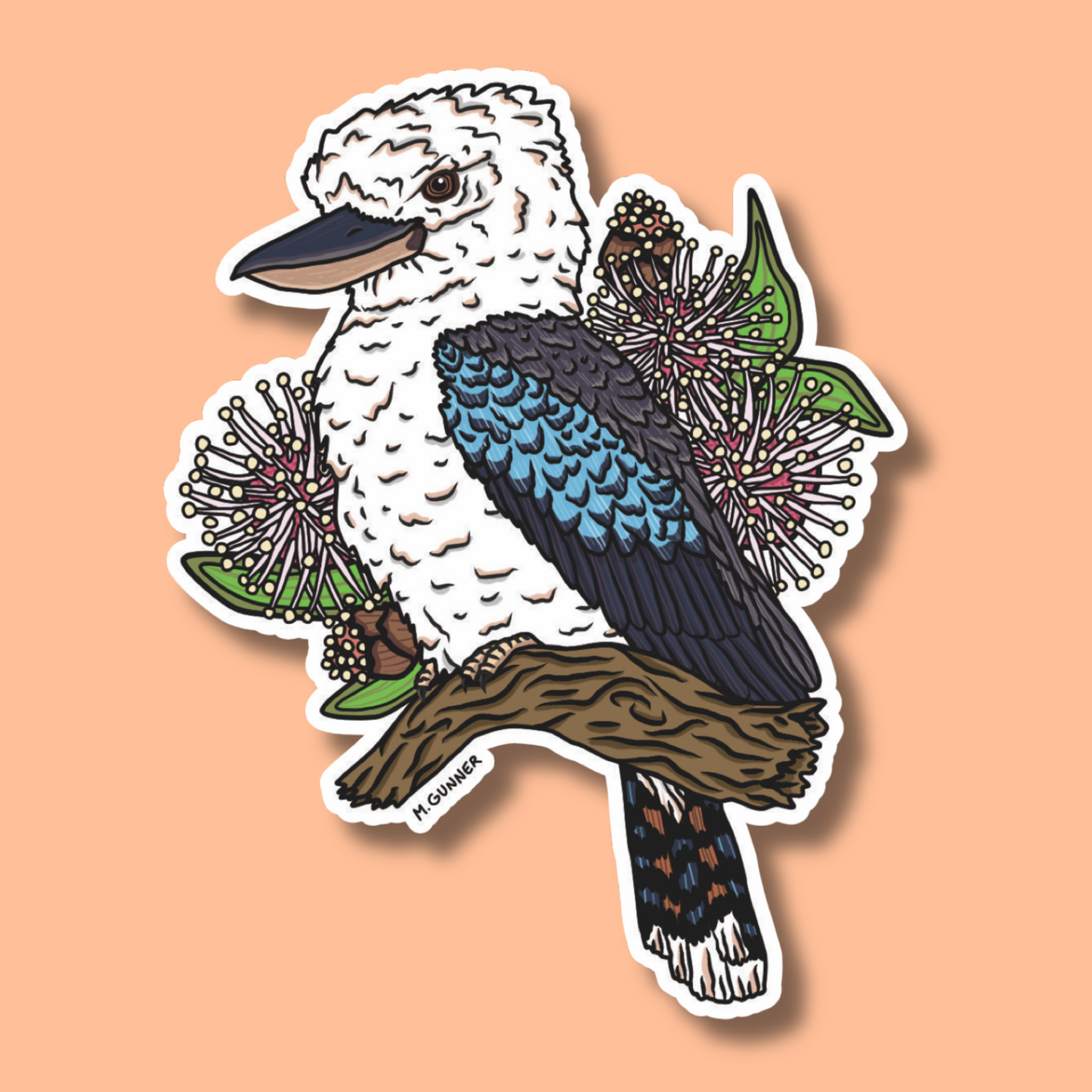 Kookaburra Stickers