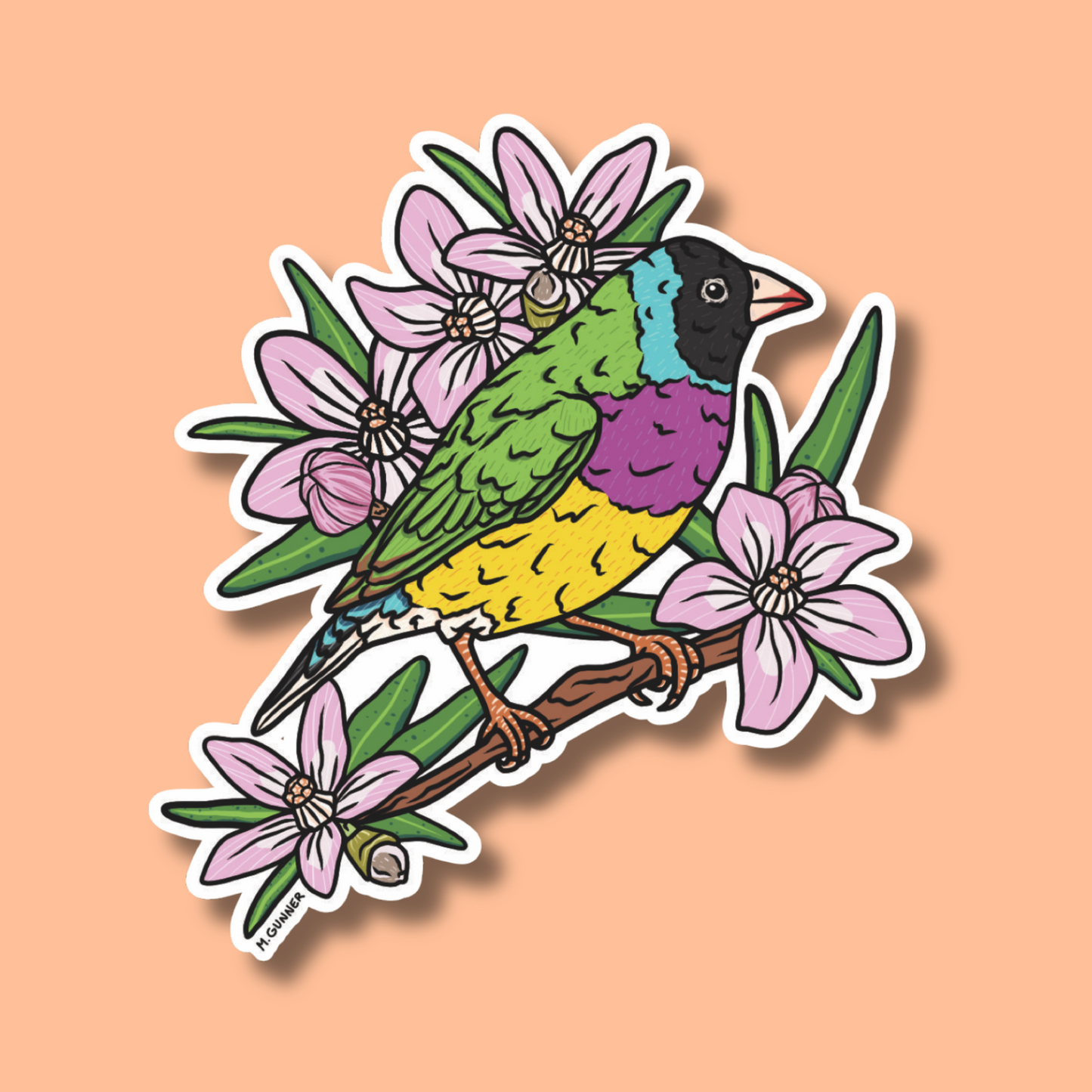 'Australian Backyard Birds' Sticker Packs