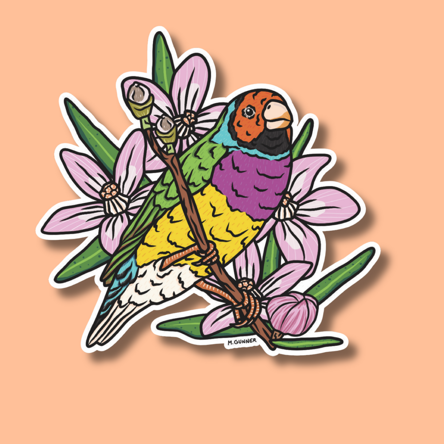 'Australian Backyard Birds' Sticker Packs