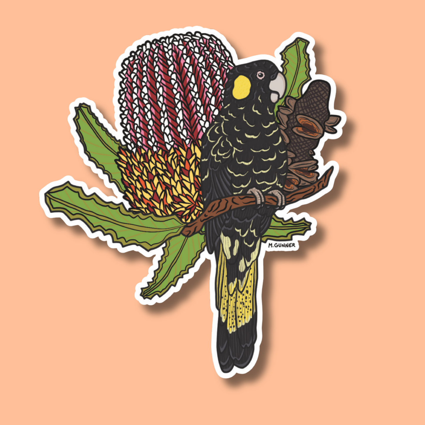 Yellow-tailed Black Cockatoo Sticker