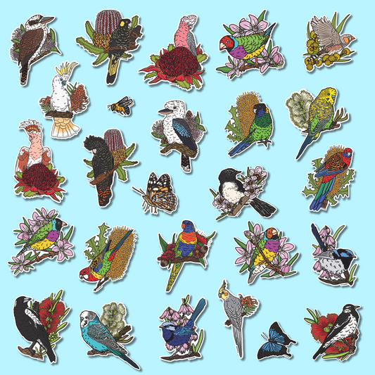 'Australian Backyard Birds' Sticker Packs