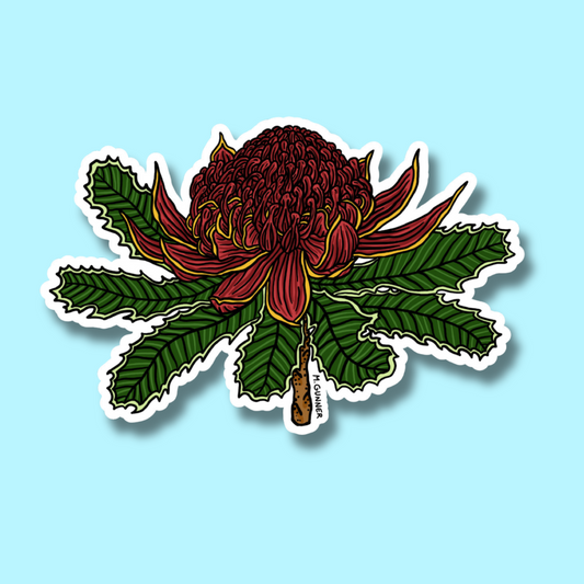 Waratah Sticker