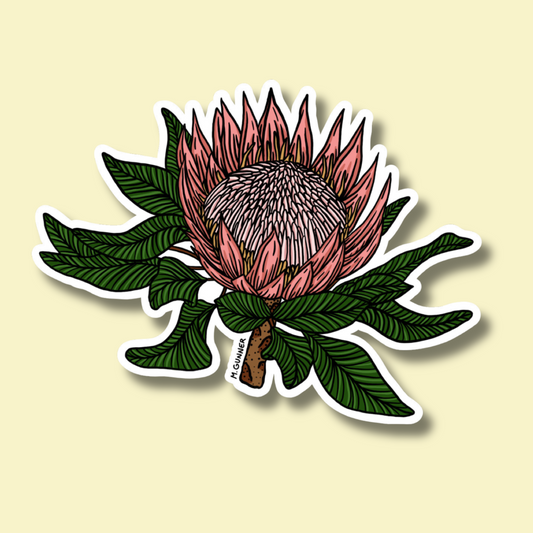 Protea Sticker