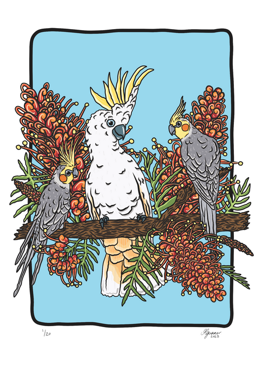 Sulphur Crested Cockatoo & Cockatiels Art Print