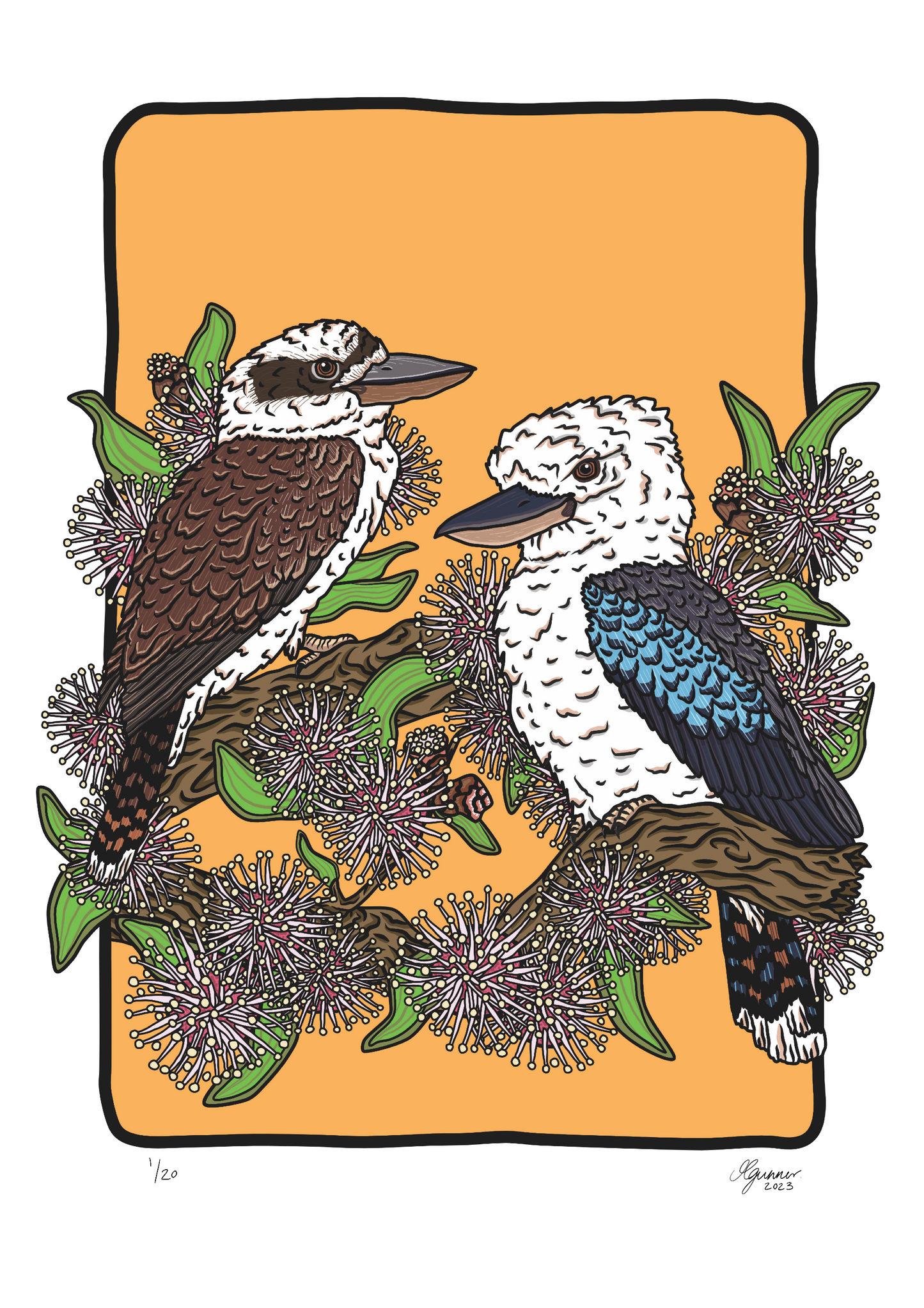 Laughing and Blue Winged Kookaburras Art Print