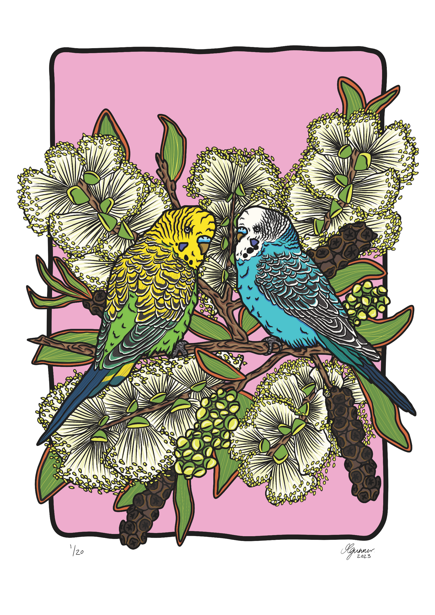 Budgerigars Art Print