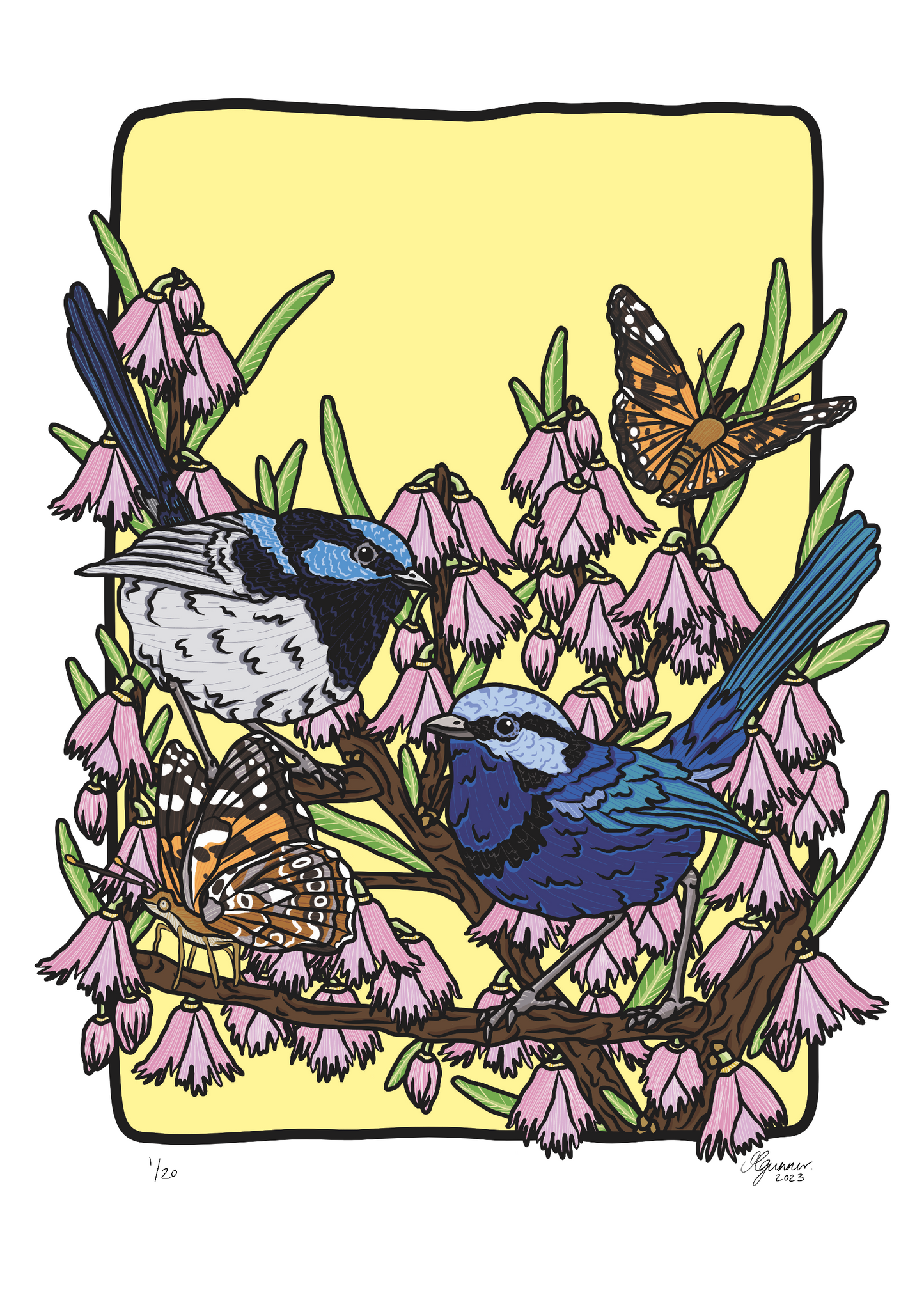 Superb Fairy Wren, Splendid Fairy Wren and Painted Lady Butterfly Art Print