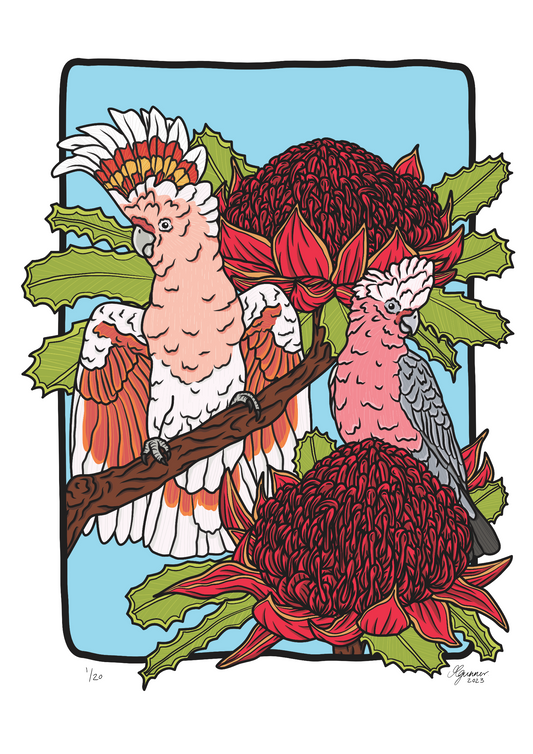 Major Mitchell Cockatoo and Galah Art Print