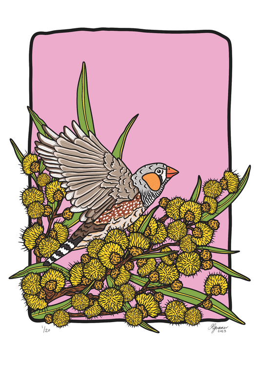 Zebra Finch Art Print