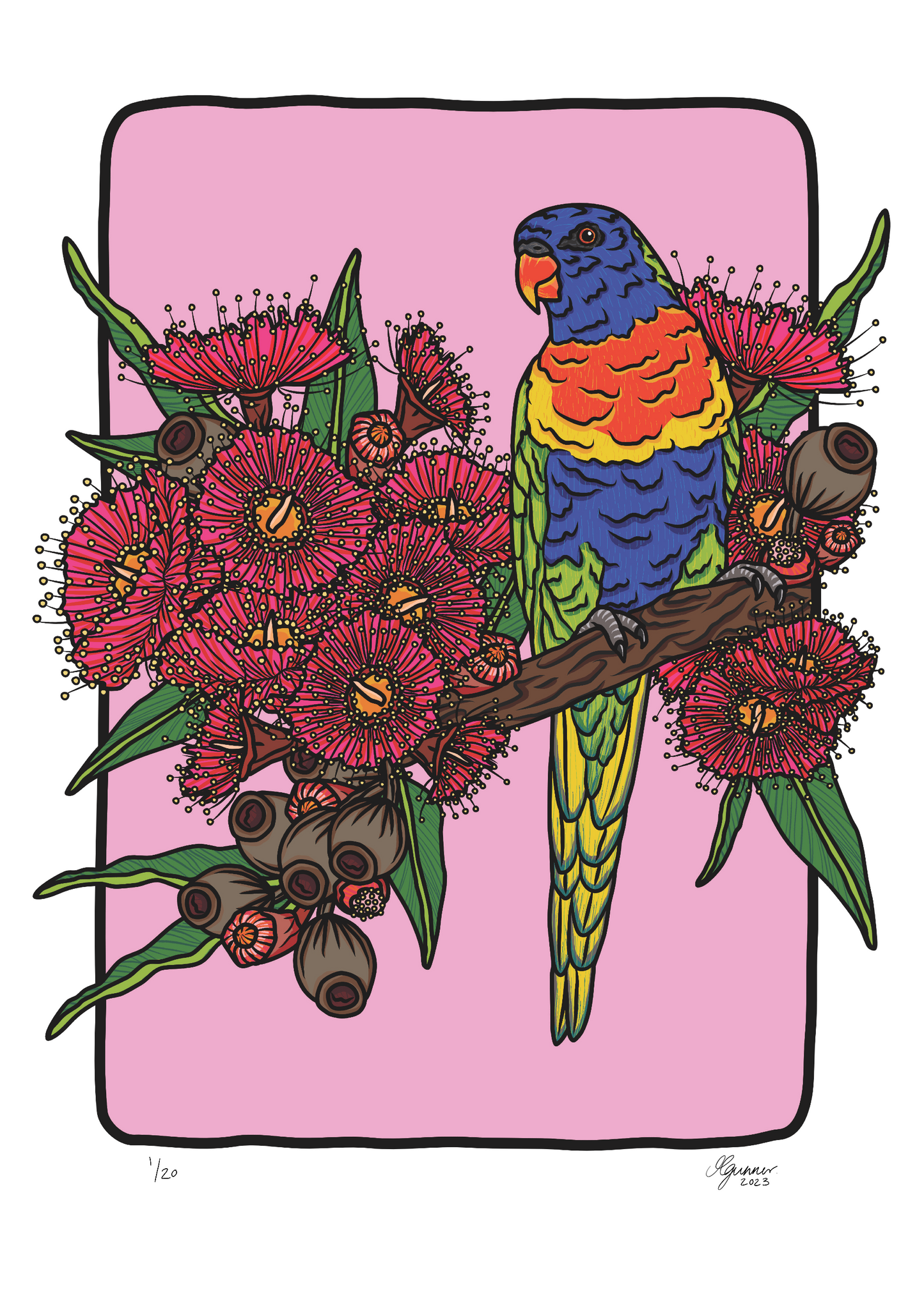 Rainbow Lorikeet Art Print