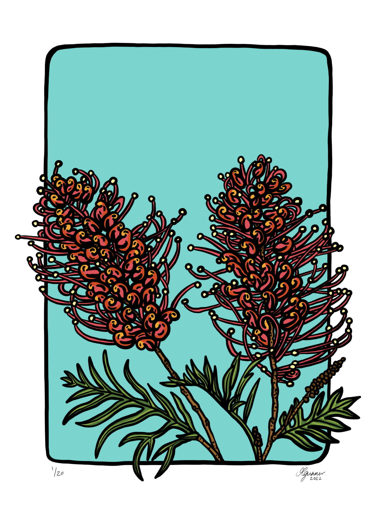 'Grevilleas' Art Print