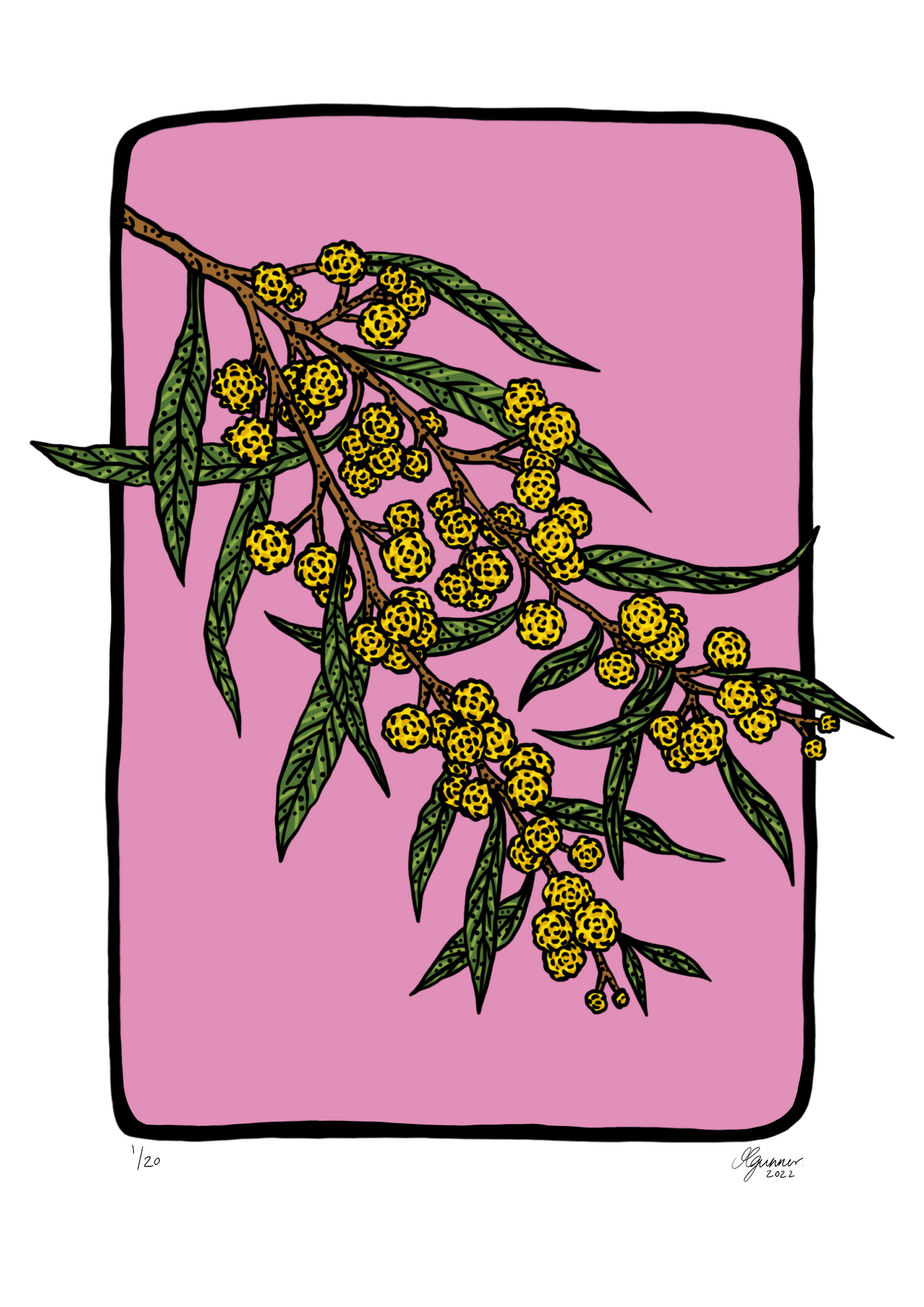 'Golden Wattle' Art Print