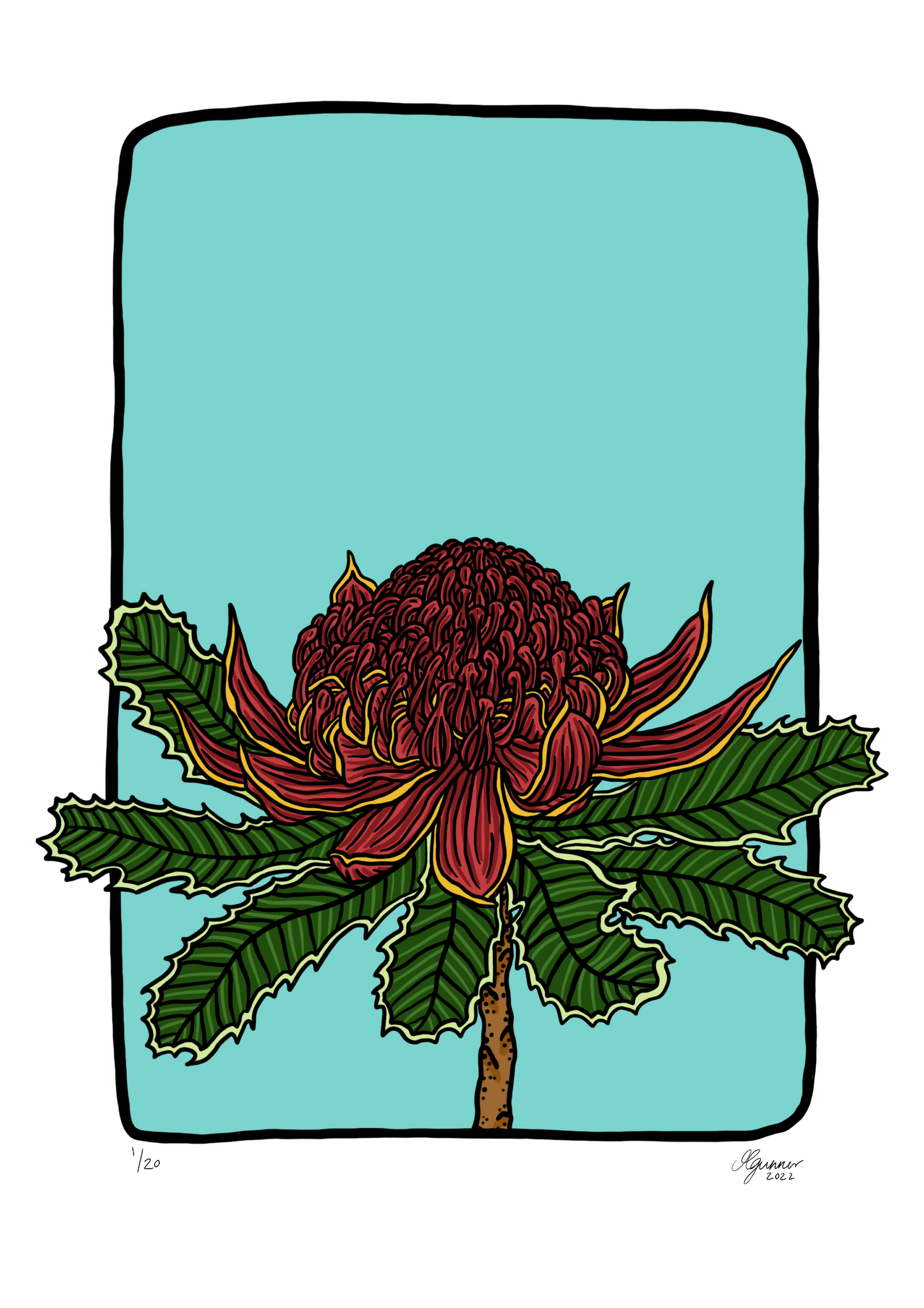 'Waratah' Art Print