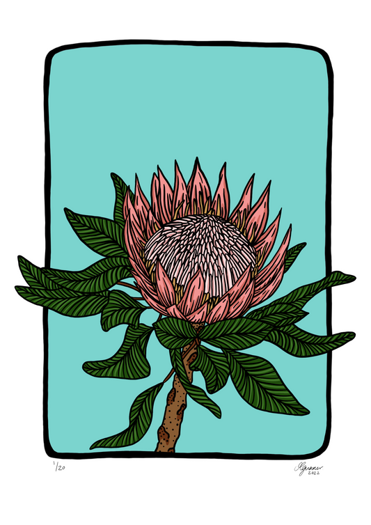 'Protea' Art Print