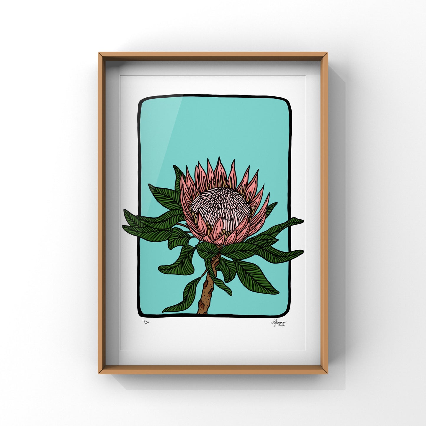 'Protea' Art Print