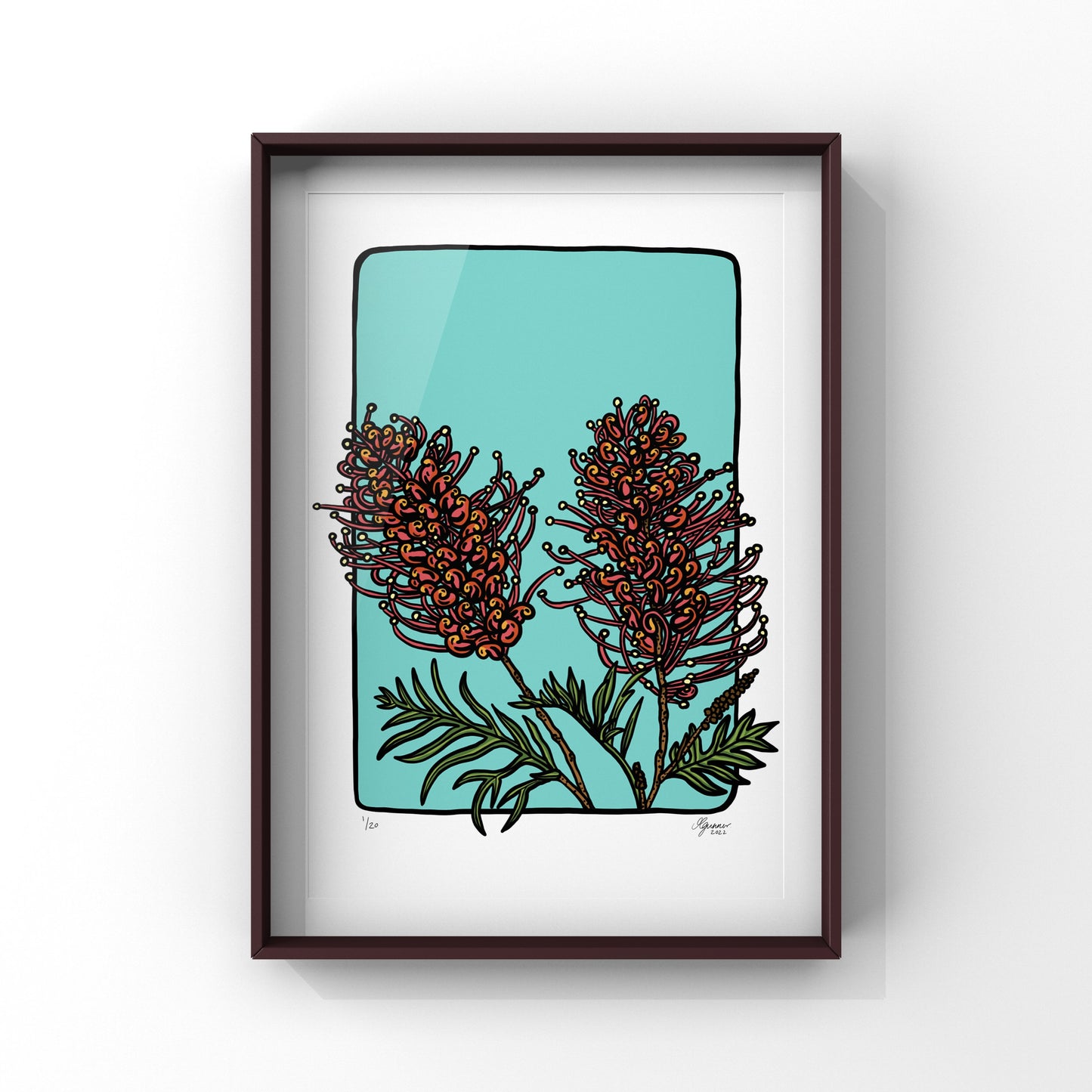 'Grevilleas' Art Print