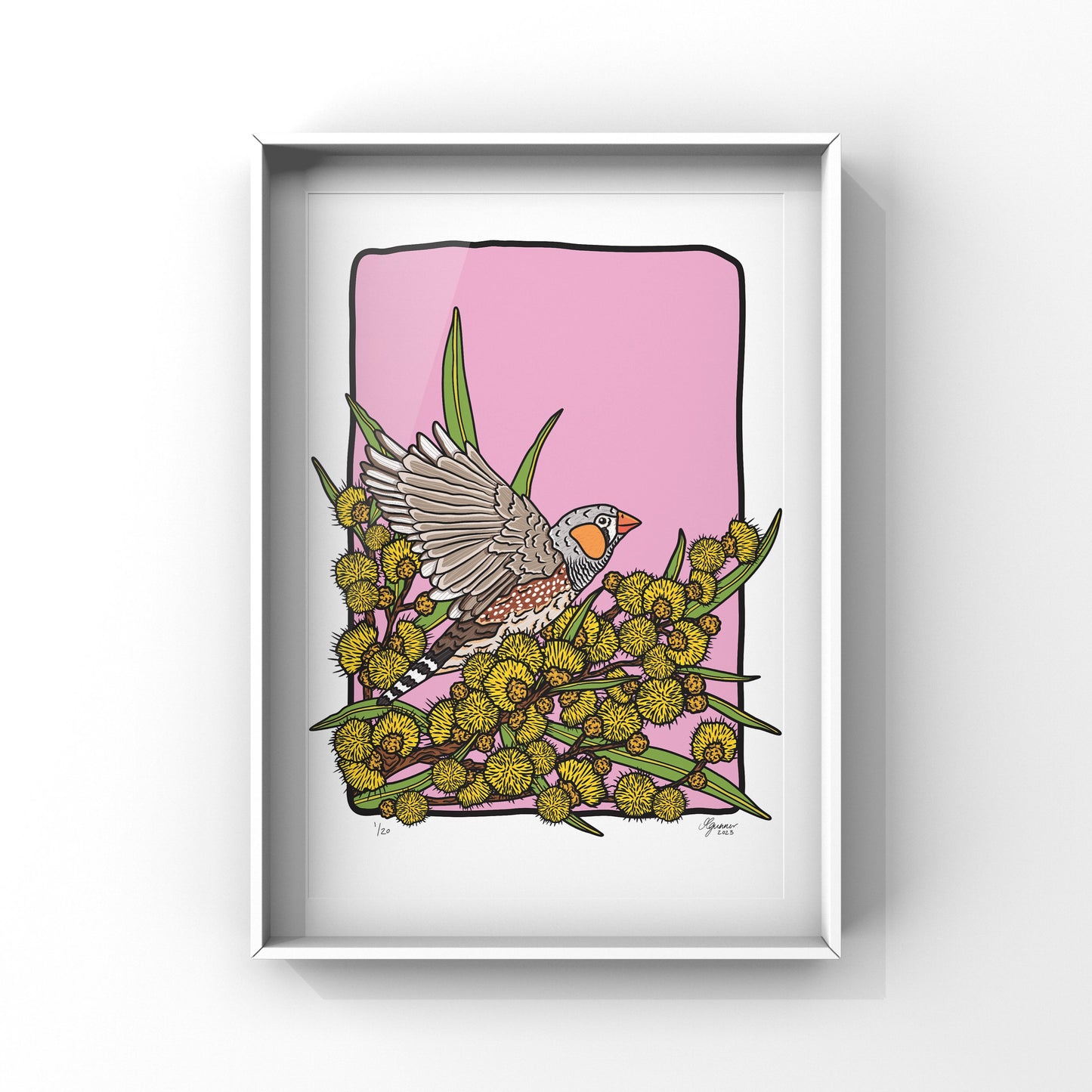 Zebra Finch Art Print