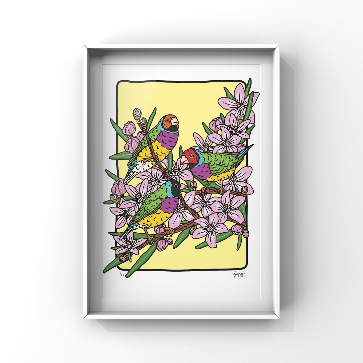 Gouldian Finches Art Print