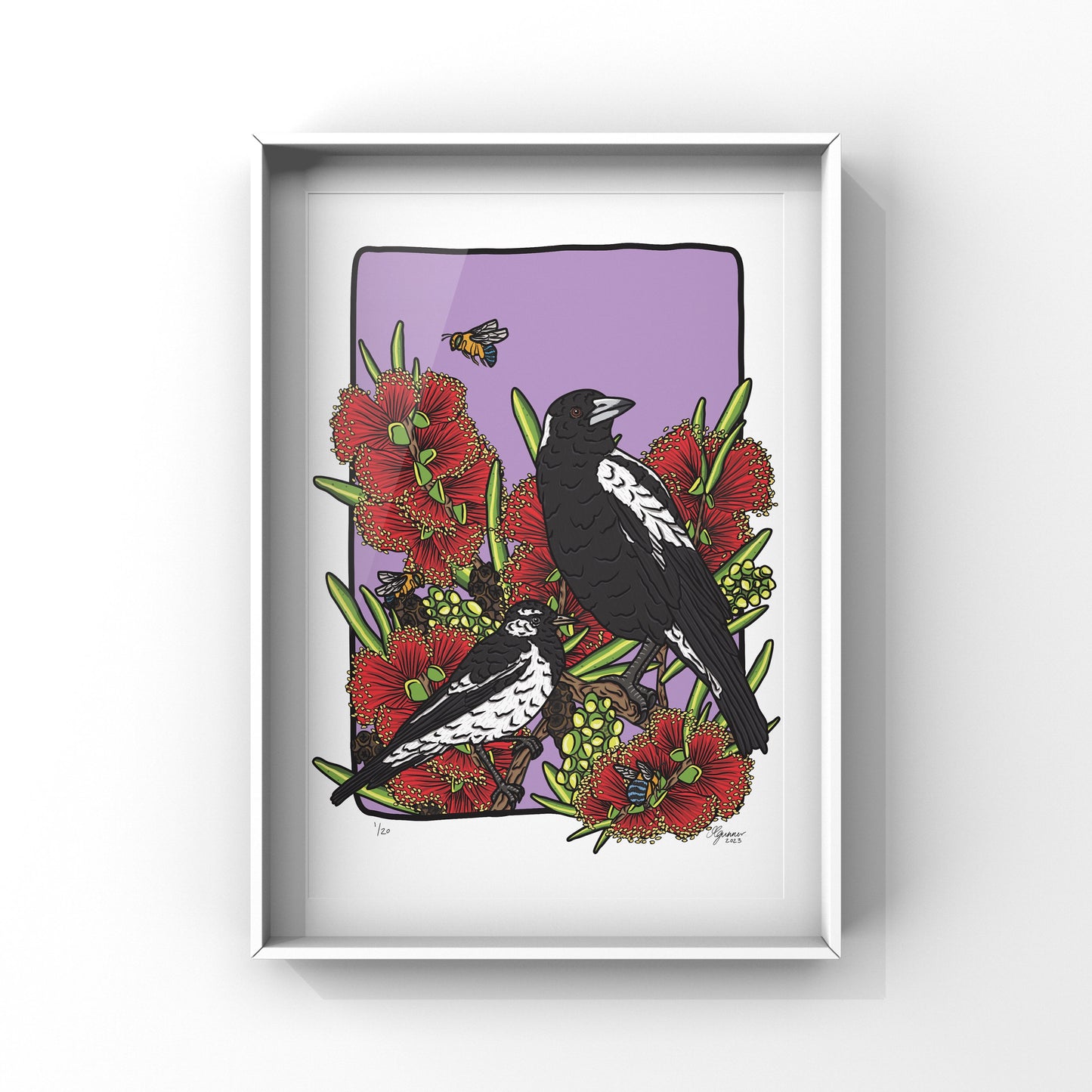 Australian Magpie, Magpie-lark and Blue Banded Bee Art Print