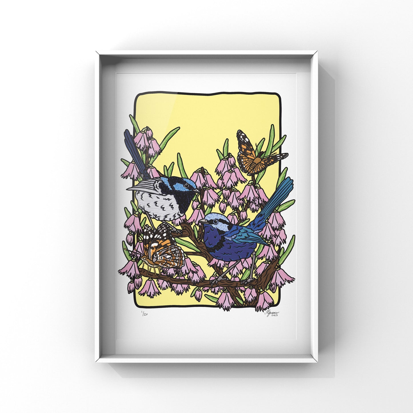 Superb Fairy Wren, Splendid Fairy Wren and Painted Lady Butterfly Art Print