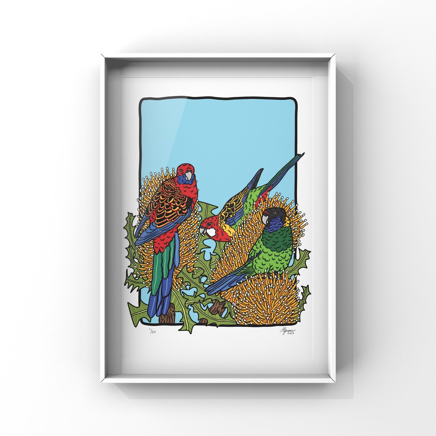 Eastern Rosella, Crimson Rosella & Australian Ringneck Art Print