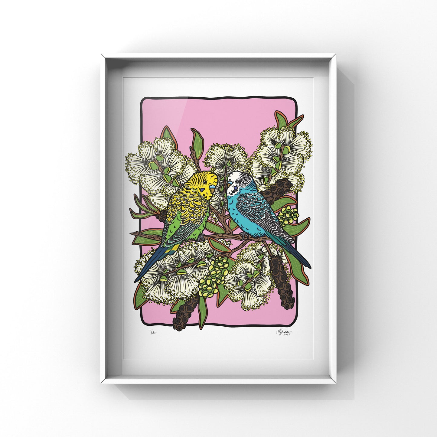 Budgerigars Art Print