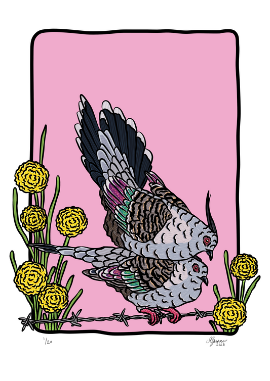 'Crested Pigeons' Art Print