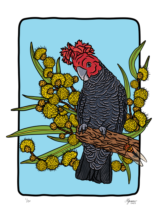 'Gang-gang Bird' Art Print