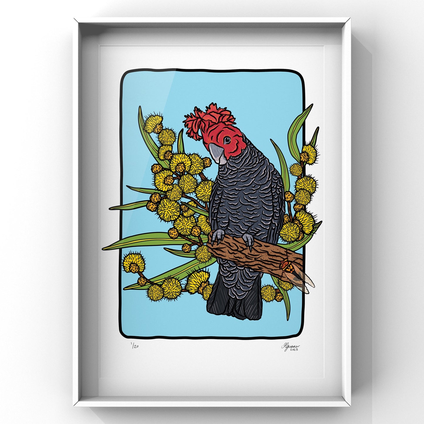 'Gang-gang Bird' Art Print
