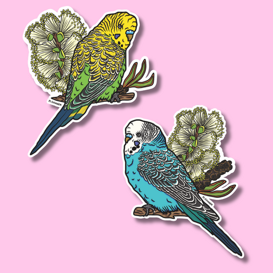 Budgerigar Stickers