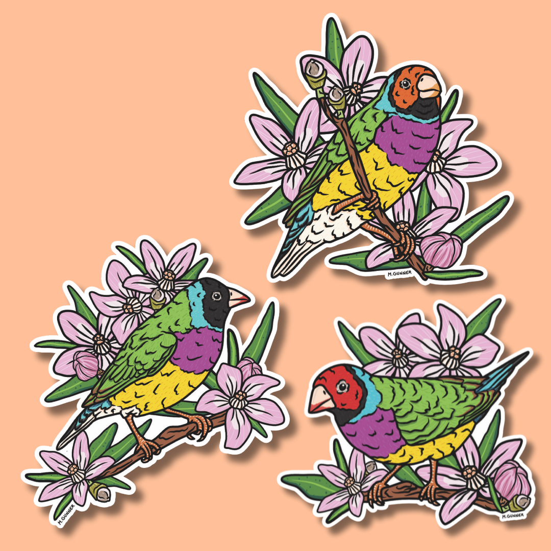 Gouldian Finch Stickers