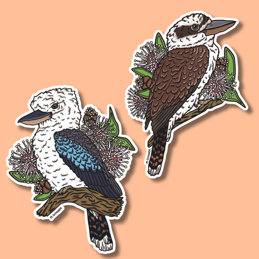 Kookaburra Stickers