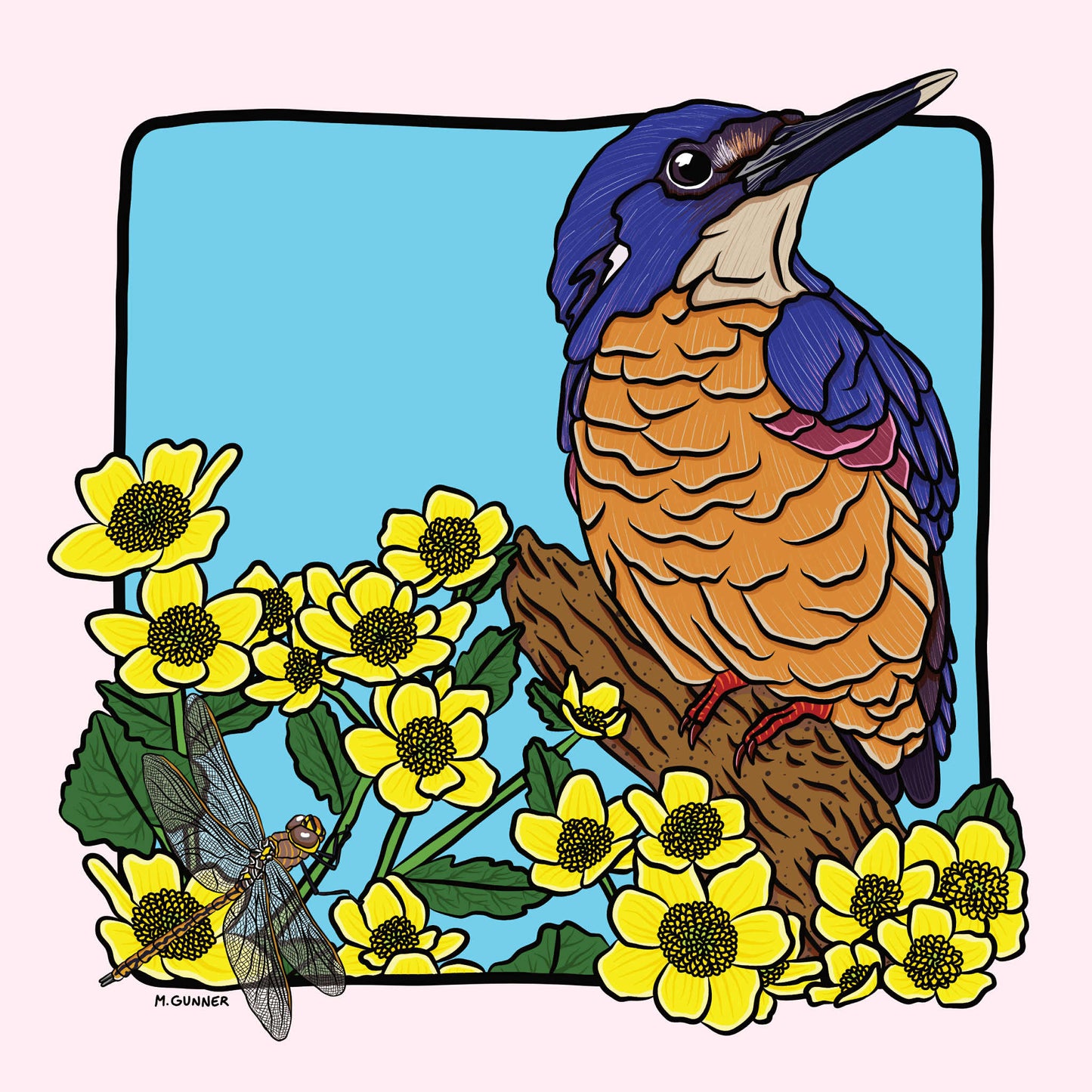 2026 Vol II Australian Backyard Birds and Flowers Calendar