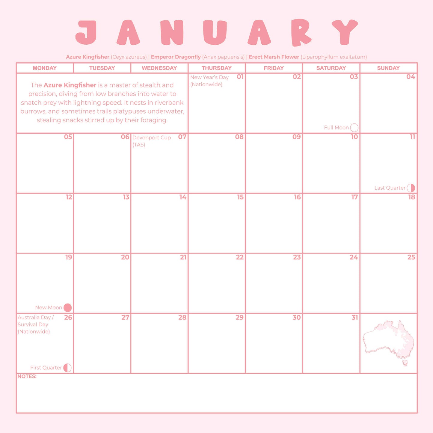 2026 Vol II Australian Backyard Birds and Flowers Calendar